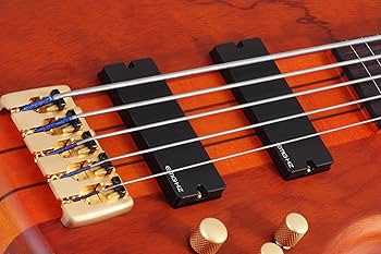 SCHECTER　シェクター　STILETTO　STUDIO5　5弦ベース Schecter Stiletto Studio-5 STBLS – United States